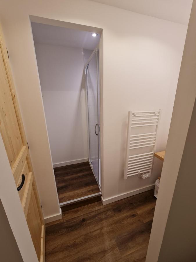 La Maizon Du Bois - Le Haut Appartement De 130 M2 - Le Bas Appartement De 70 M2 Ла-Плань Екстер'єр фото
